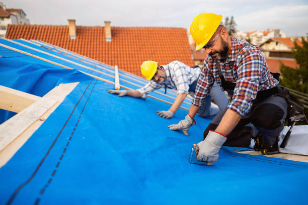 Best Roof Ventilation Installation  in New Castle, IN